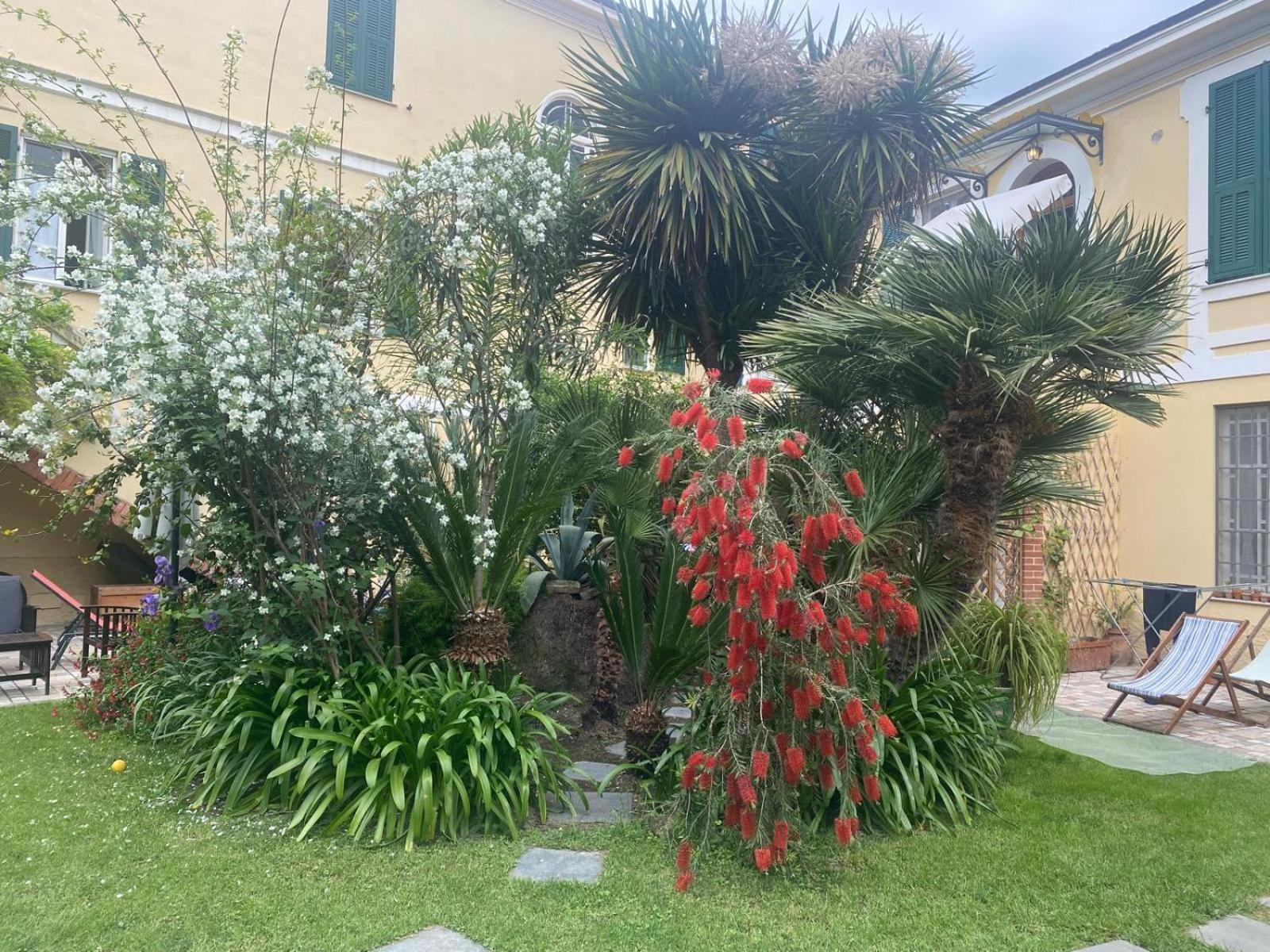 Villa Angelina - Casa Glicine Vallecrosia Extérieur photo